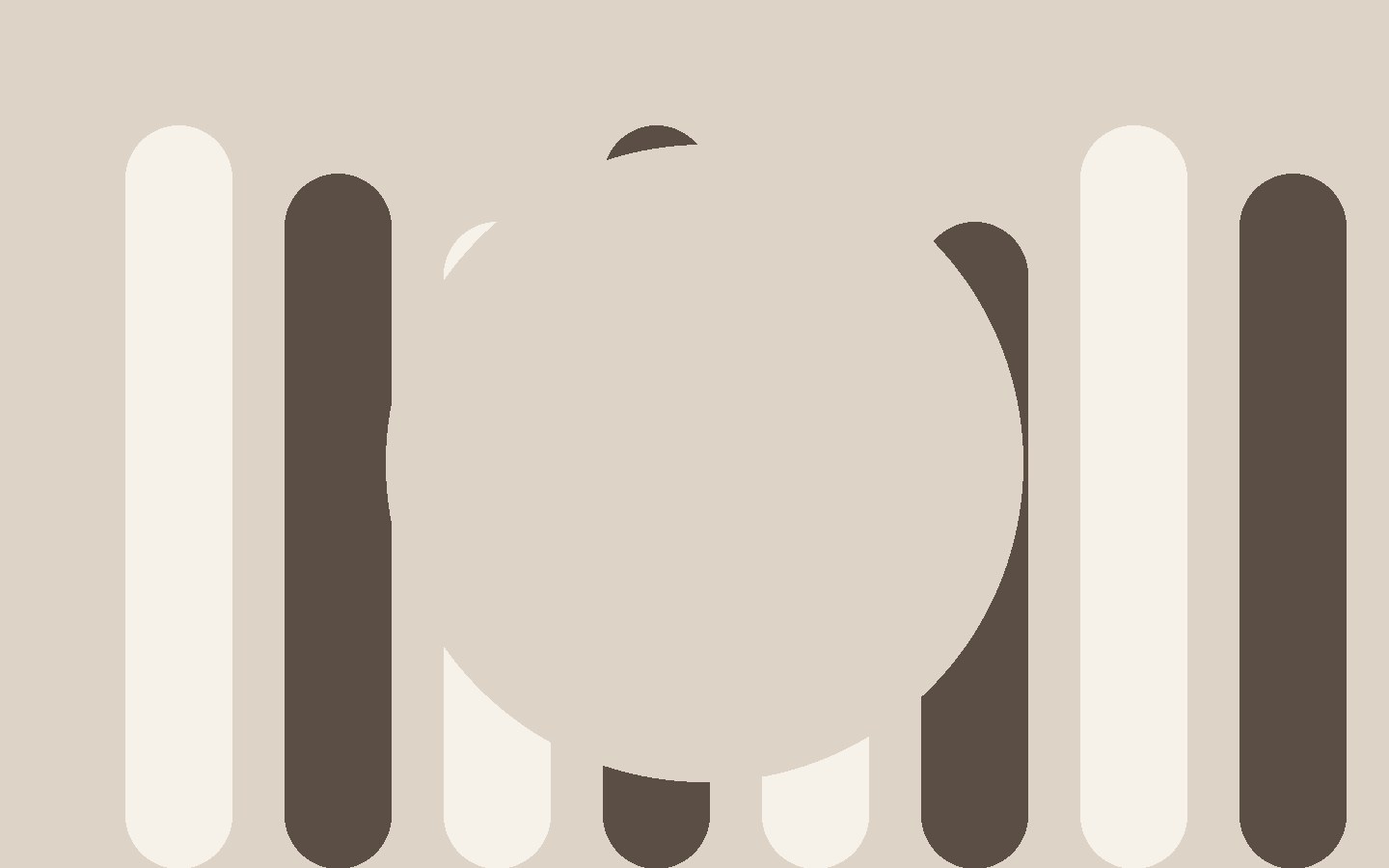 The Quiet Power of Everyday Rituals